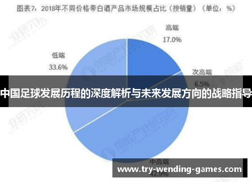 中国足球发展历程的深度解析与未来发展方向的战略指导