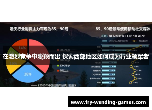 在激烈竞争中脱颖而出 探索西部地区如何成为行业领军者