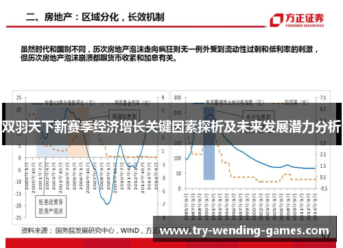 双羽天下新赛季经济增长关键因素探析及未来发展潜力分析