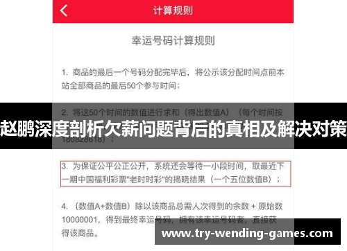 赵鹏深度剖析欠薪问题背后的真相及解决对策