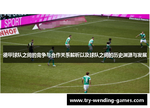 德甲球队之间的竞争与合作关系解析以及球队之间的历史渊源与发展