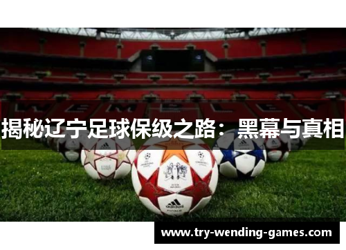 揭秘辽宁足球保级之路：黑幕与真相