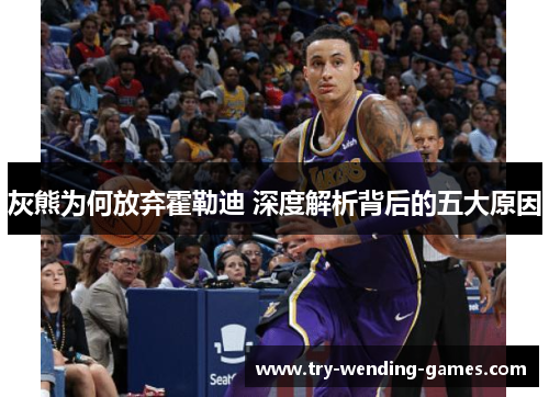 灰熊为何放弃霍勒迪 深度解析背后的五大原因