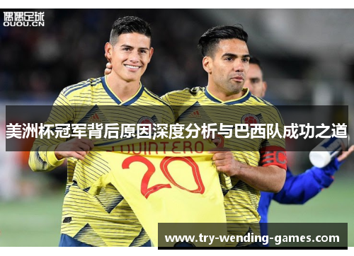 美洲杯冠军背后原因深度分析与巴西队成功之道