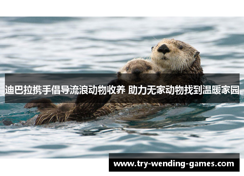 迪巴拉携手倡导流浪动物收养 助力无家动物找到温暖家园 迪巴拉携手倡导流浪动物收养 助力无家动物找到温暖家园