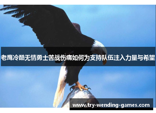 老鹰冷酷无情勇士苦战伤痛如何为支持队伍注入力量与希望