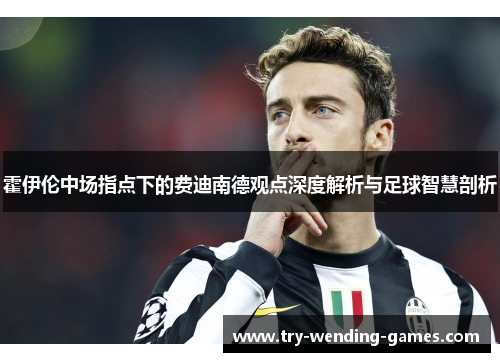 霍伊伦中场指点下的费迪南德观点深度解析与足球智慧剖析