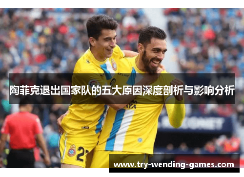 陶菲克退出国家队的五大原因深度剖析与影响分析